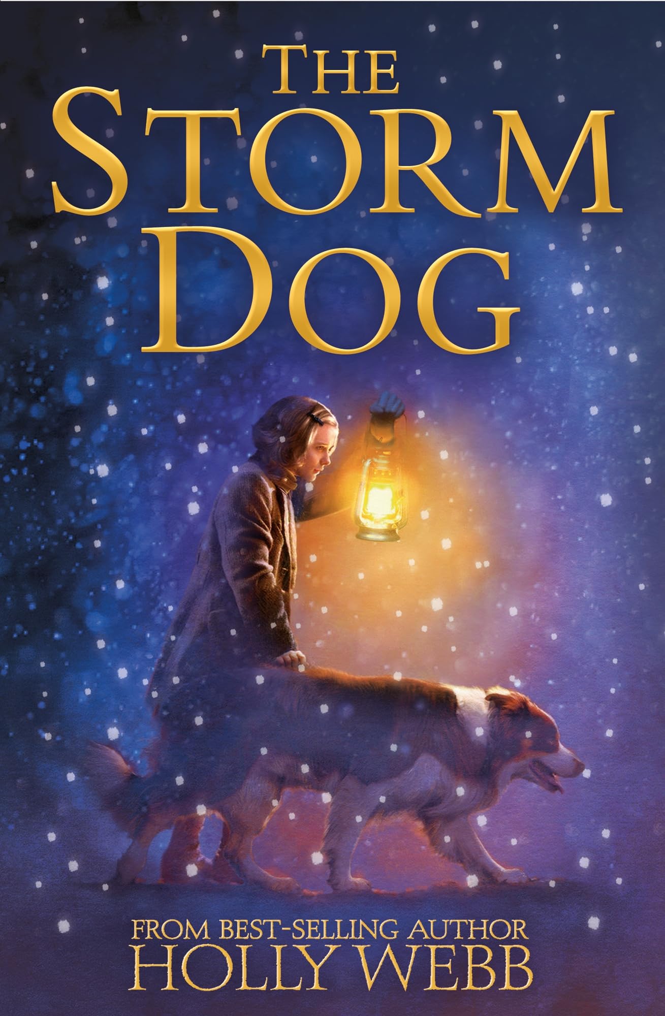 The Storm Dog: 6 (Winter Animal Stories, 6)