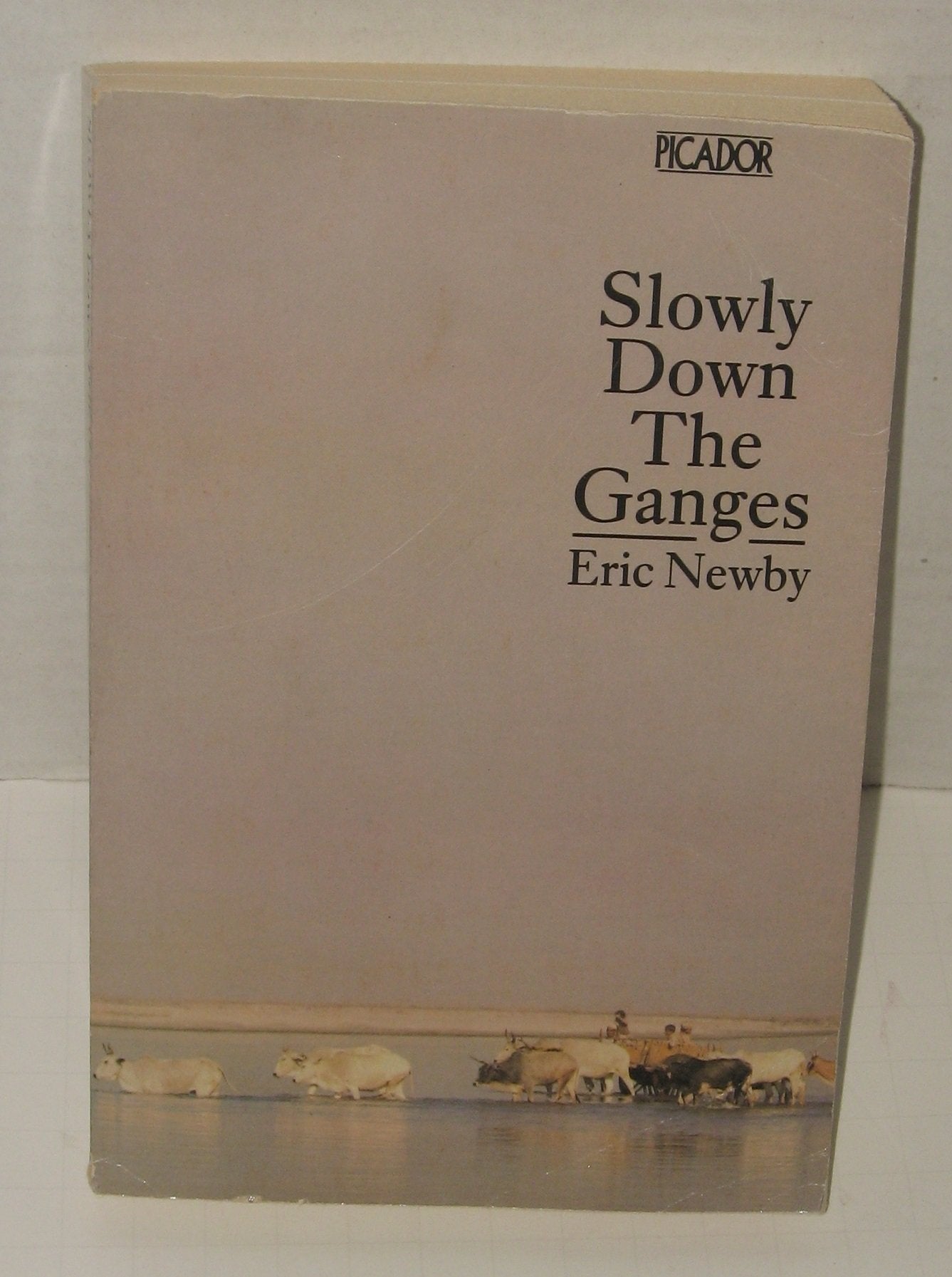 Slowly Down the Ganges (Picador Books)