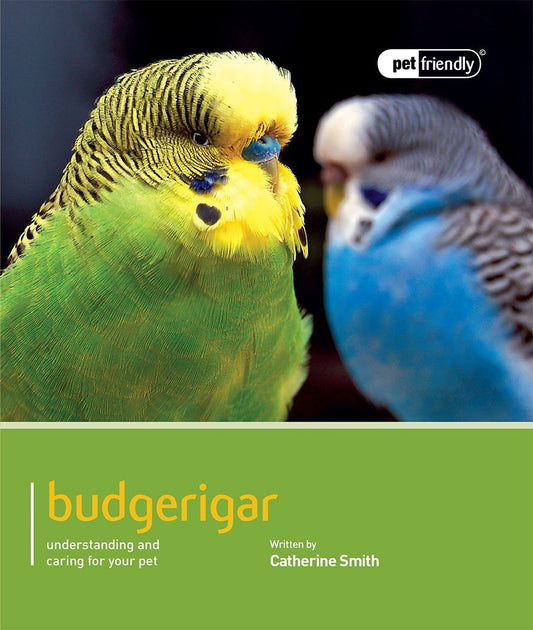 Budgerigar: Pet Friendly - Budgerigar: Understanding and Caring for Your Pet