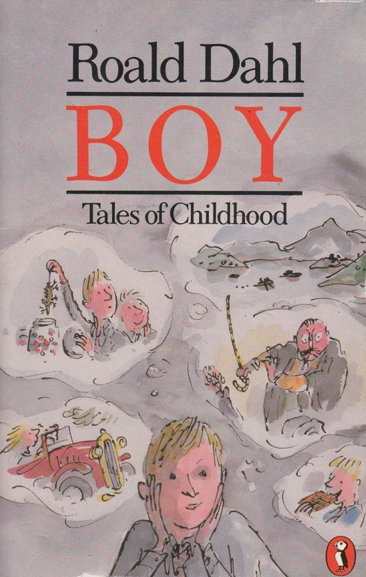 Boy: Tales of Childhood
