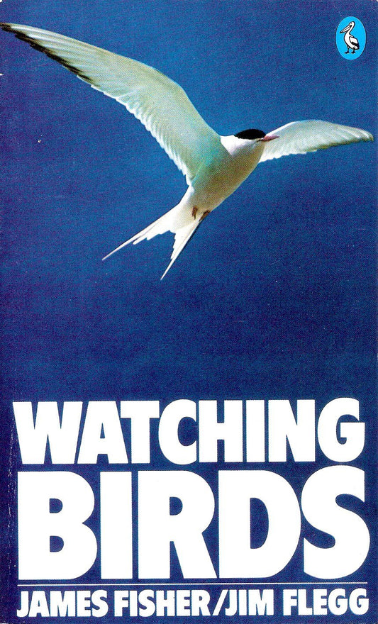 Watching Birds (Pelican S.)