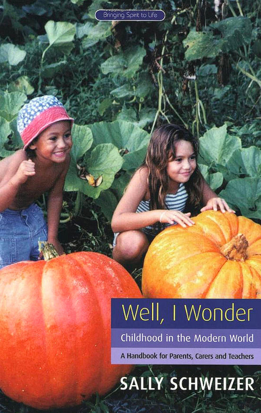 Well I Wonder: Childhood in the Modern World, a Handbook for Parents, Teachers and Carers (Bringing Spirit to Life)