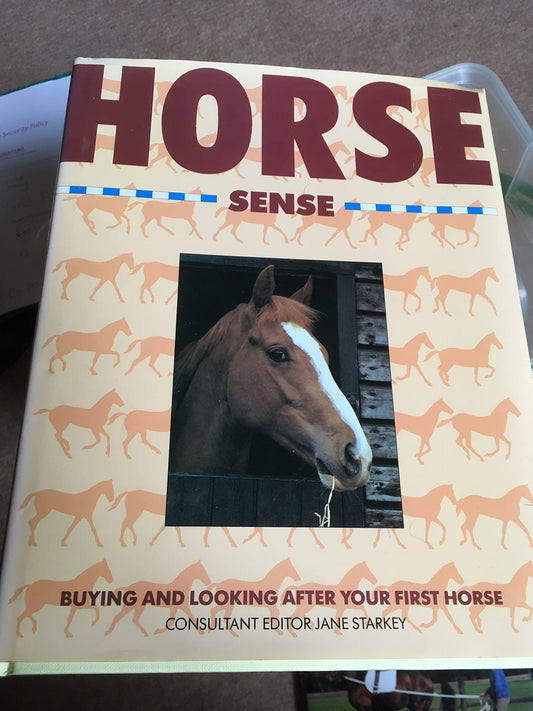 Horse Sense: Buying and Looking After Your First Horse