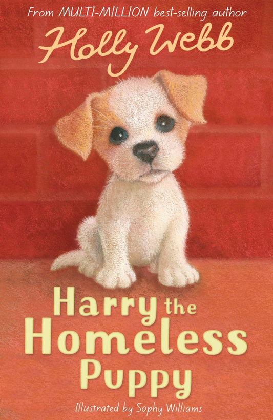 Harry the Homeless Puppy: 9 (Holly Webb Animal Stories, 9)
