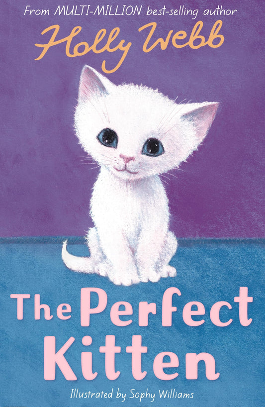 The Perfect Kitten: 41 (Holly Webb Animal Stories, 41)