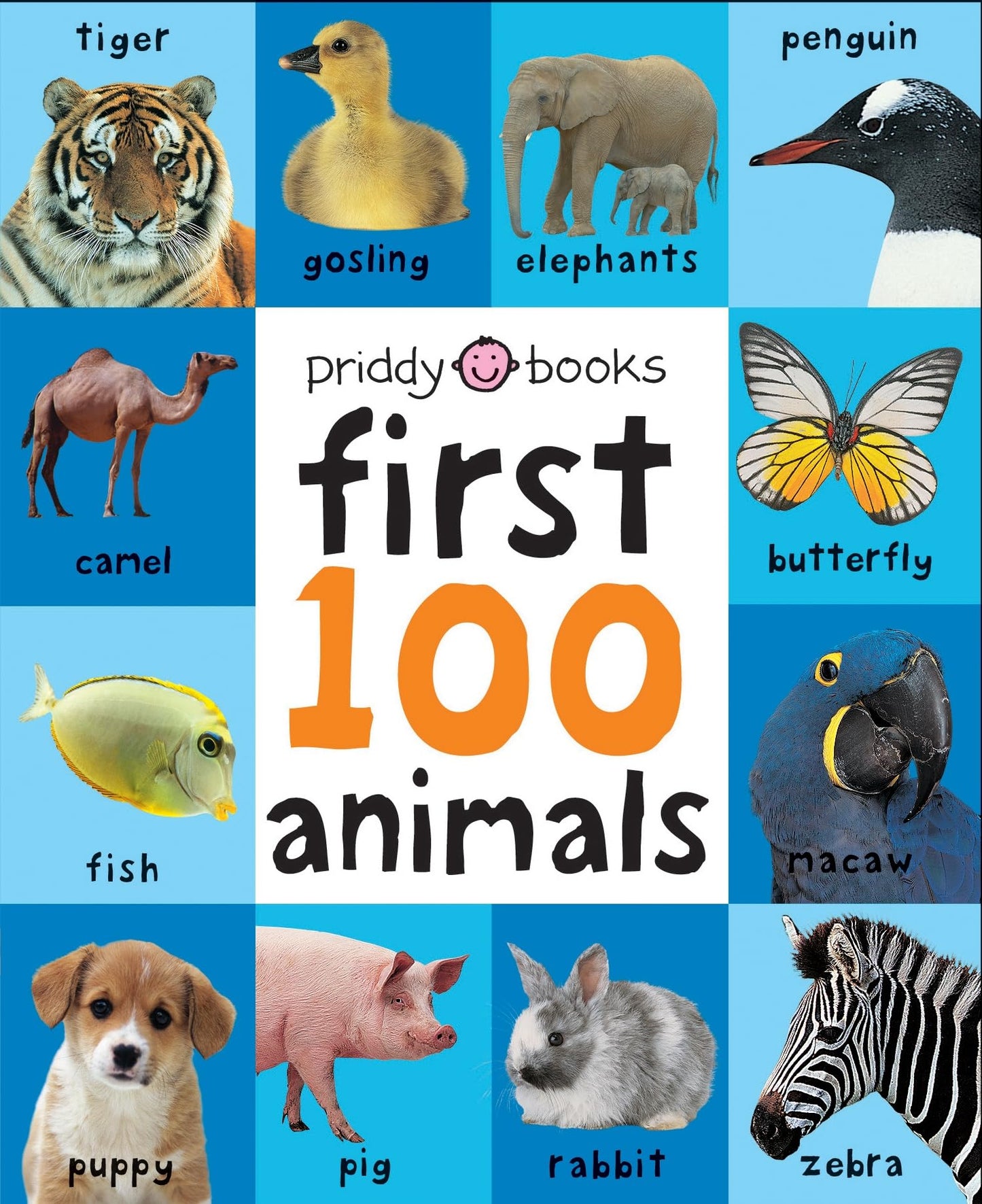 First 100 Animals: A soft-to-touch, first words book for babies and toddlers (First 100 Soft To Touch)