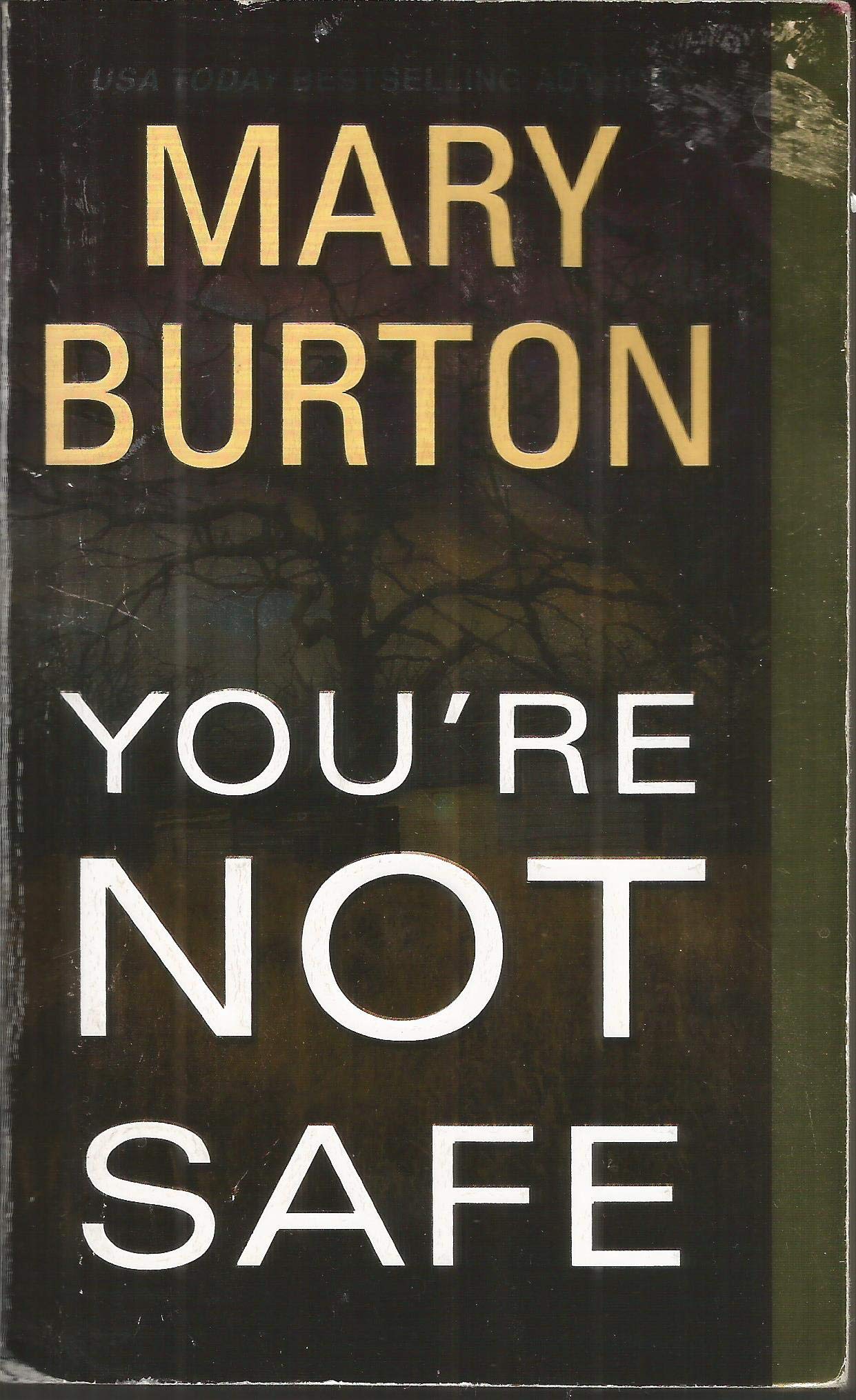 You're Not Safe (Texas Rangers)