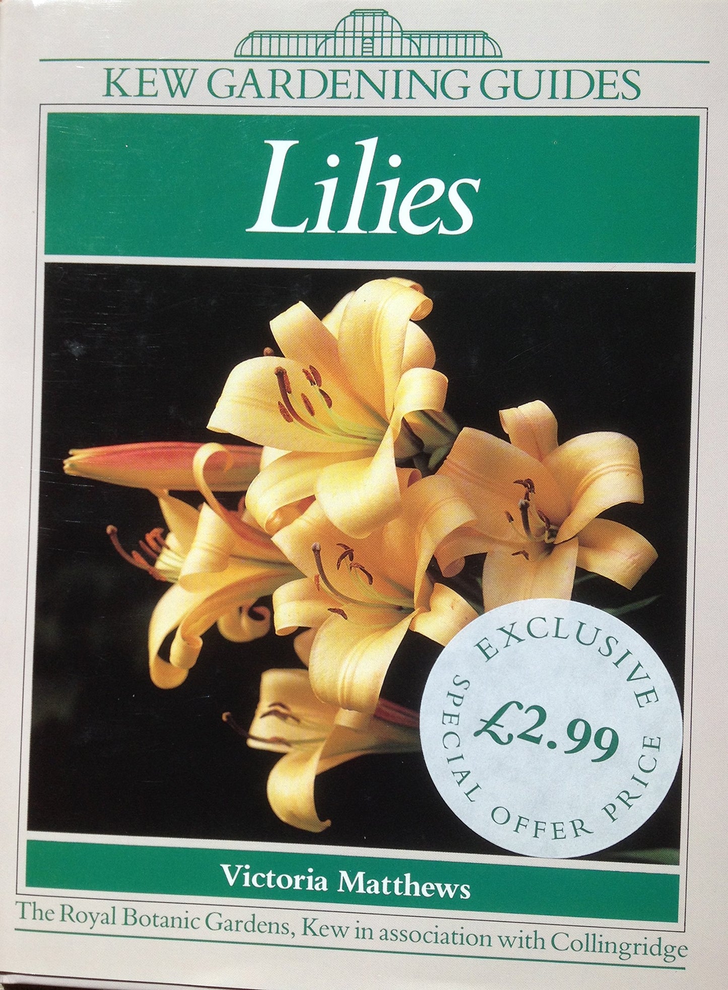 Kew Gardening Guide: Lilies