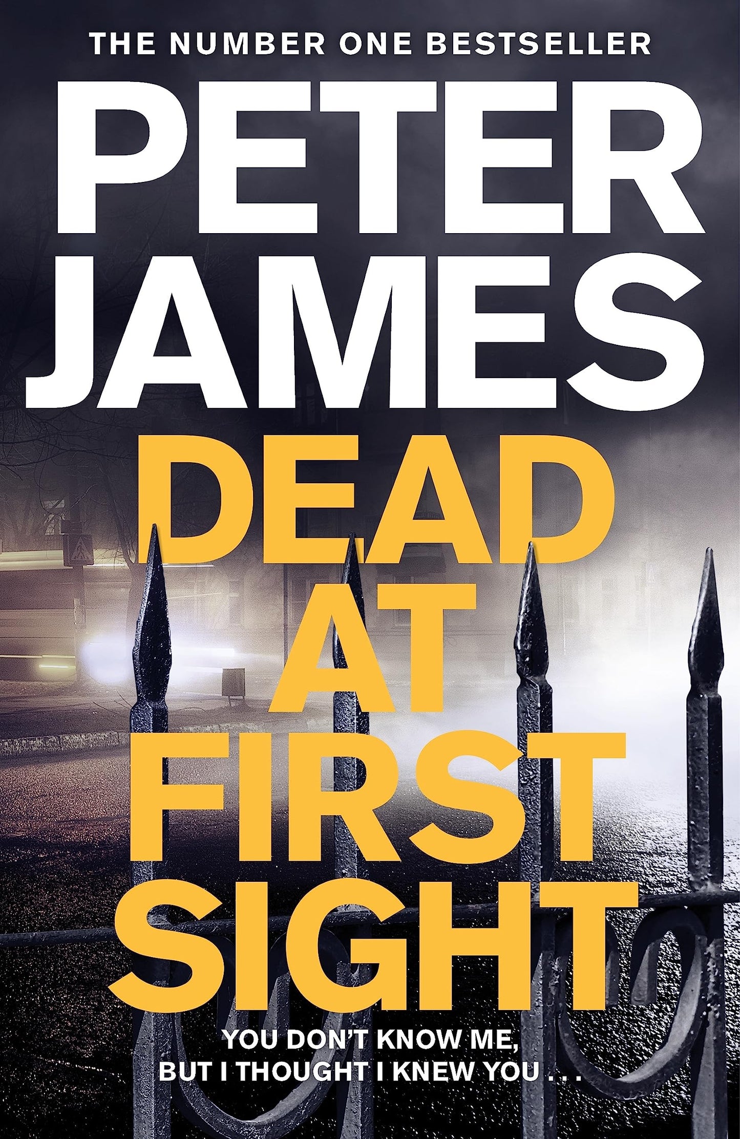 Dead at First Sight: 15 (Roy Grace, 15)