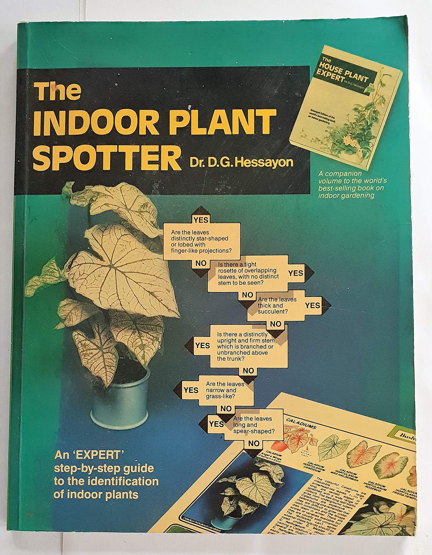 The Indoor Plant Spotter (Expert books)