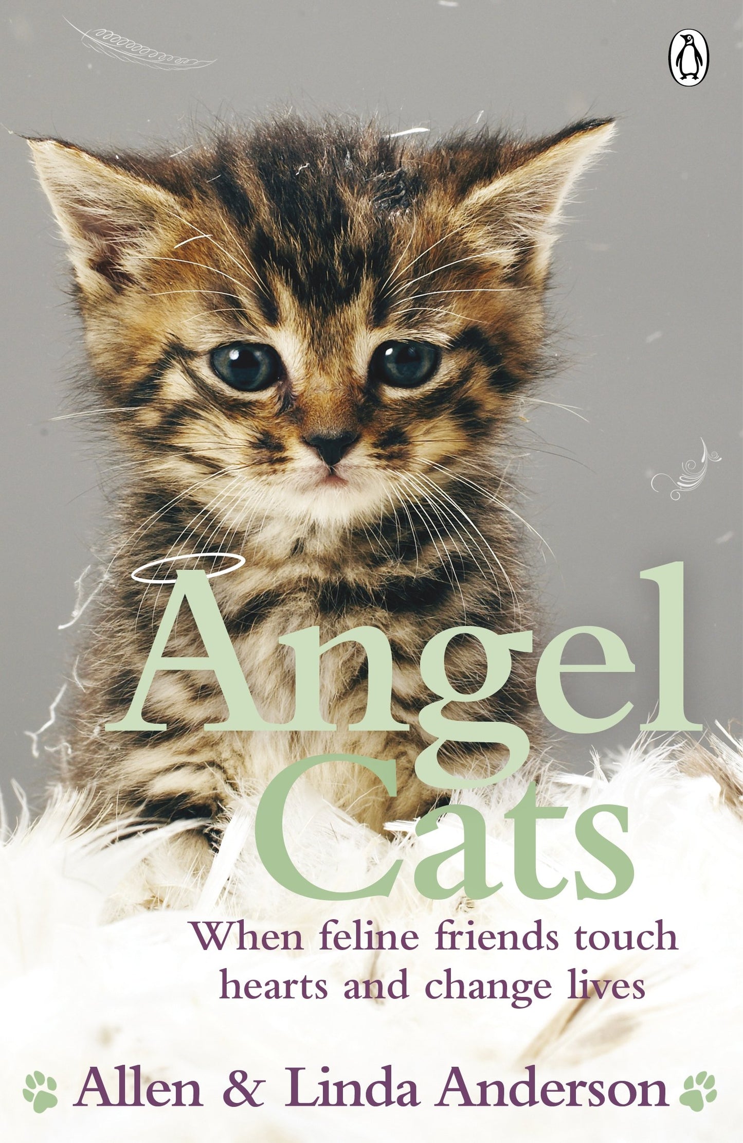 Angel Cats: When feline friends touch hearts and change lives