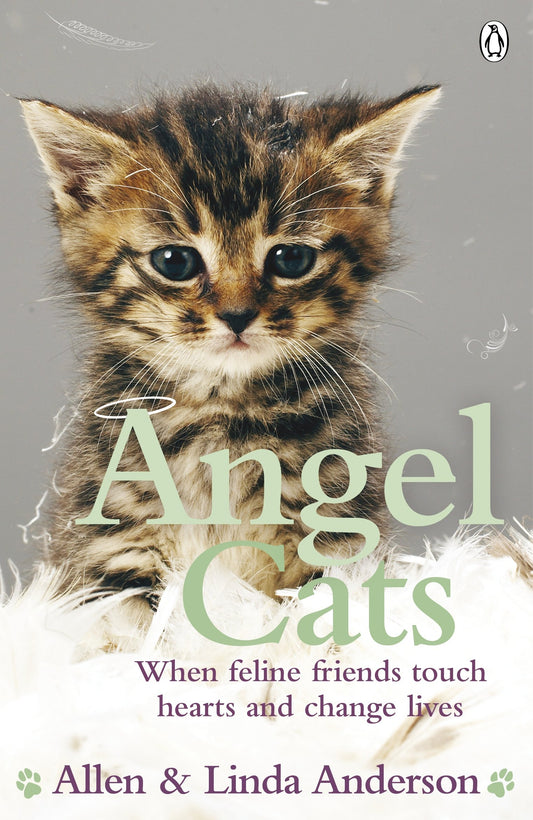 Angel Cats: When feline friends touch hearts and change lives