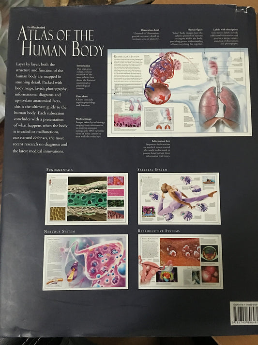 The Illustrated Atlas of the Human Body