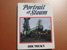 Portrait of Steam