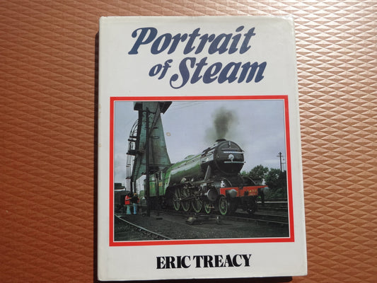 Portrait of Steam