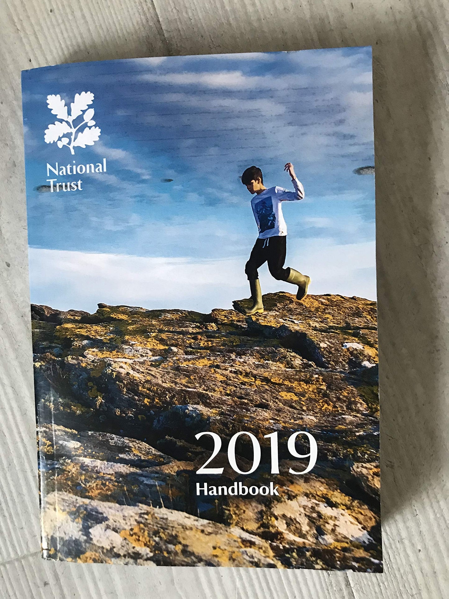 National Trust Handbook 2019