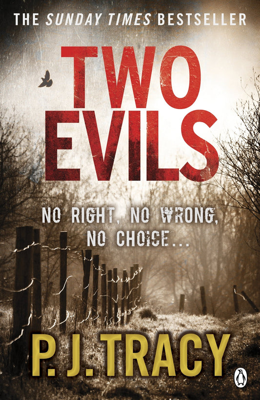Two Evils: 6 (Twin Cities Thriller, 6)
