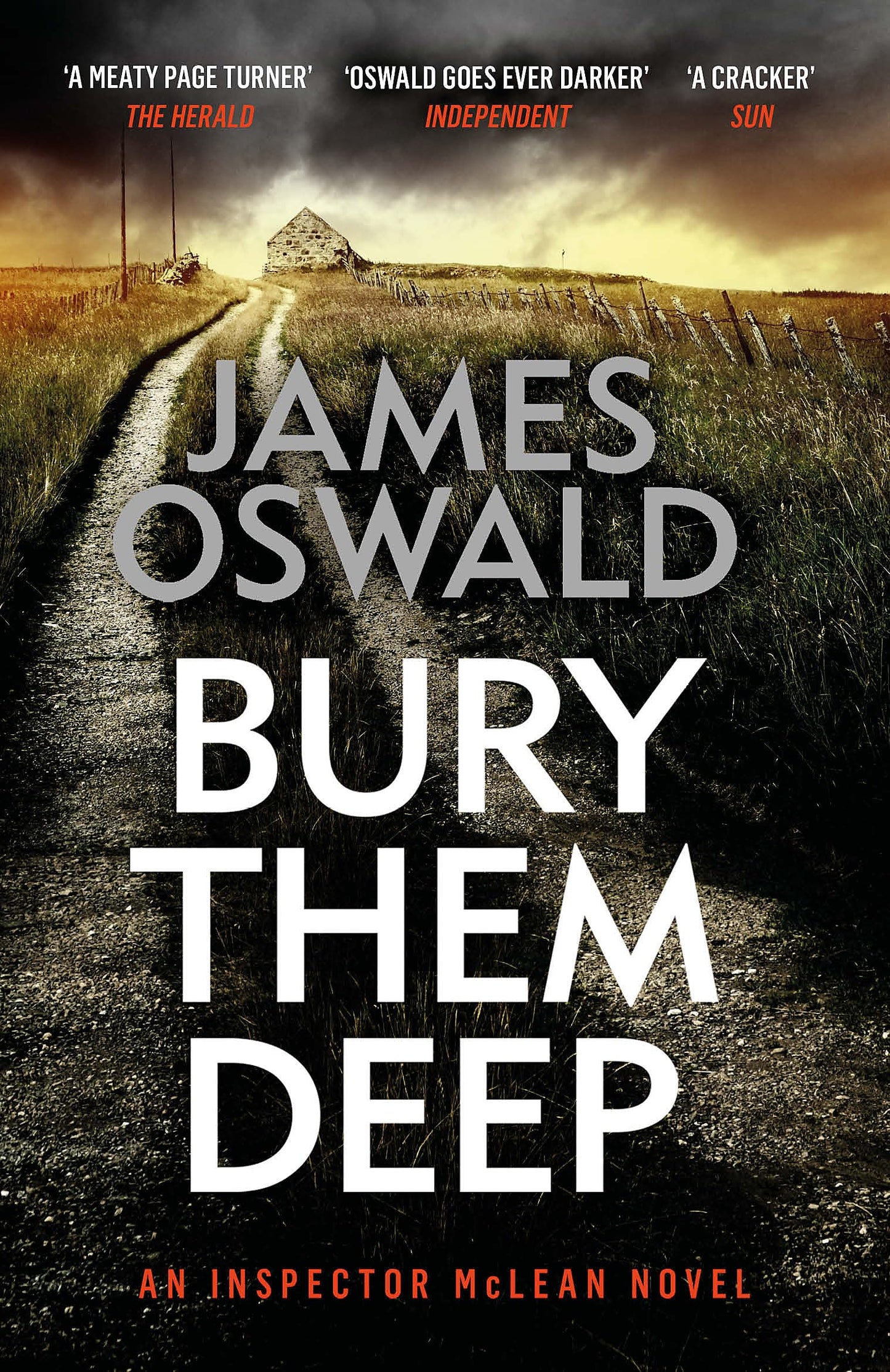 Bury Them Deep: the tenth gripping thriller in the Sunday Times bestselling Inspector McLean series (The Inspector McLean Series)