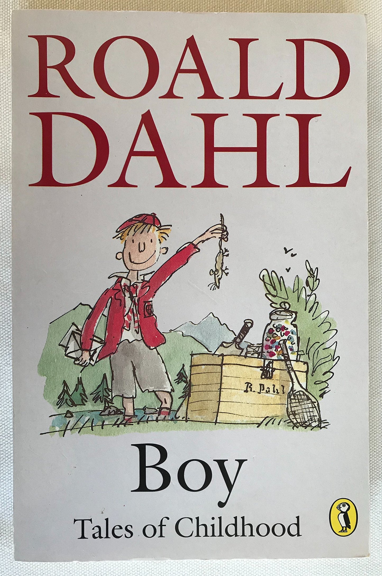 Boy: Tales of Childhood (Puffin Story Books)