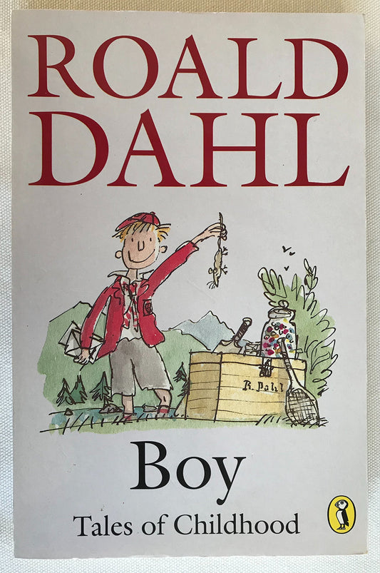 Boy: Tales of Childhood (Puffin Story Books)