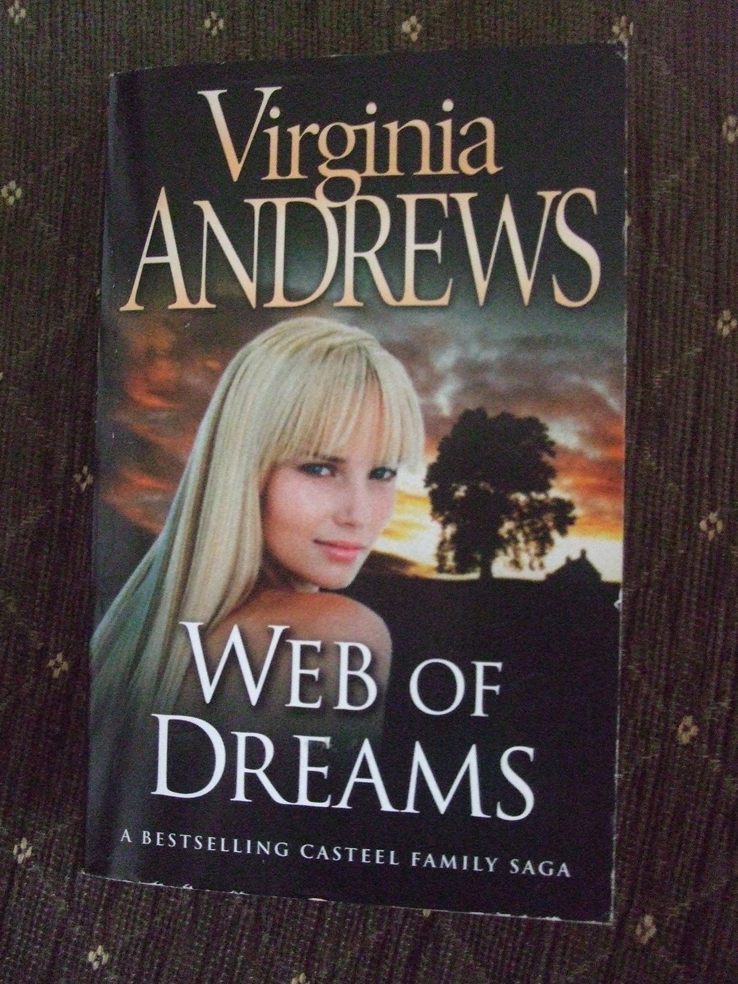 Web of Dreams (Casteel Family Saga)