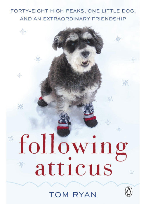 Following Atticus: How a little dog led one man on a journey of rediscovery to the top of the world