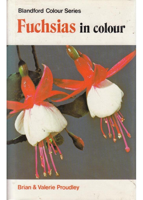 Fuchsias in Colour