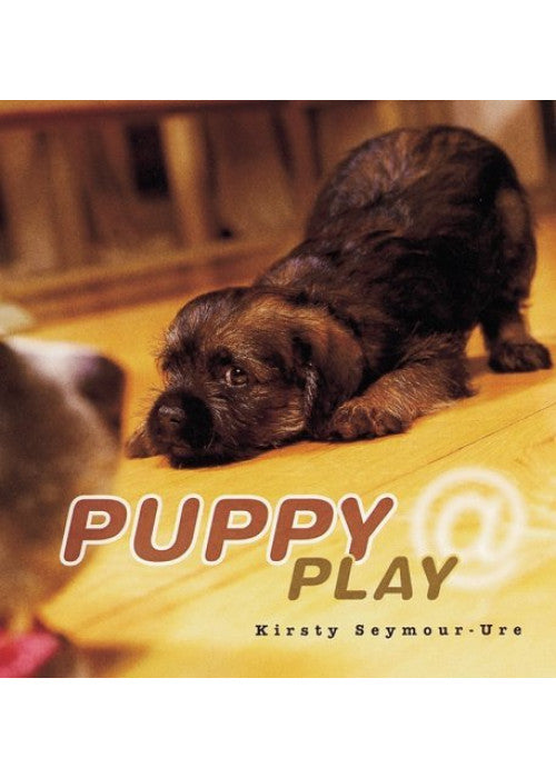 Puppy @ Play