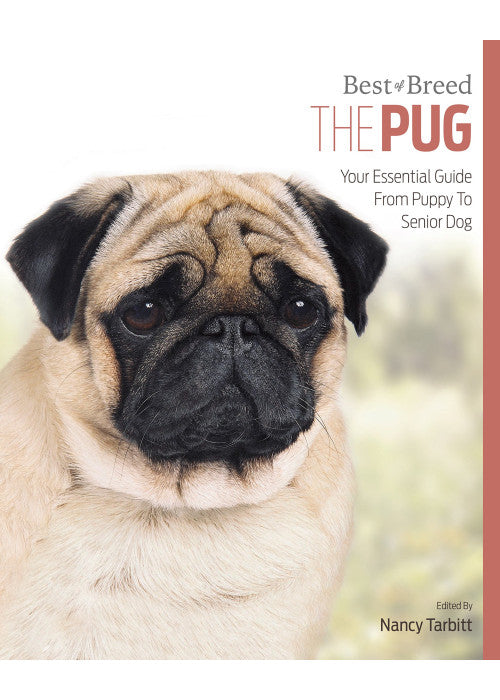 Pug: Best of Breed