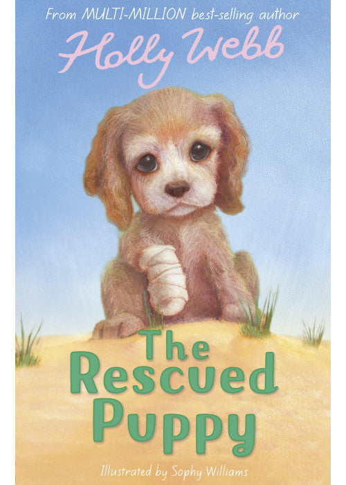 The Rescued Puppy: 18 (Holly Webb Animal Stories, 18)