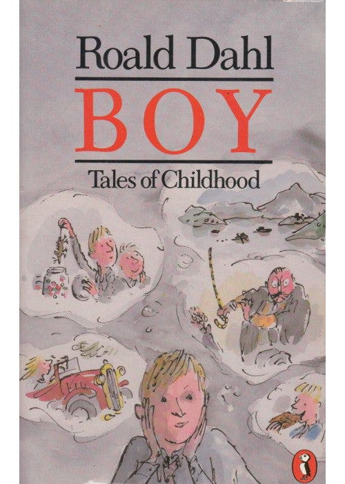 Boy: Tales of Childhood