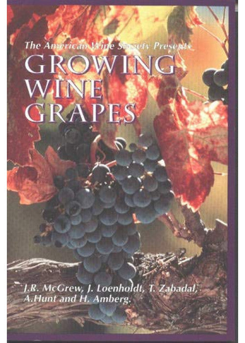 Growing Wine Grapes