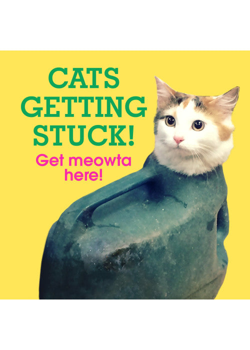 Cats Getting Stuck!: Get Meowta Here!