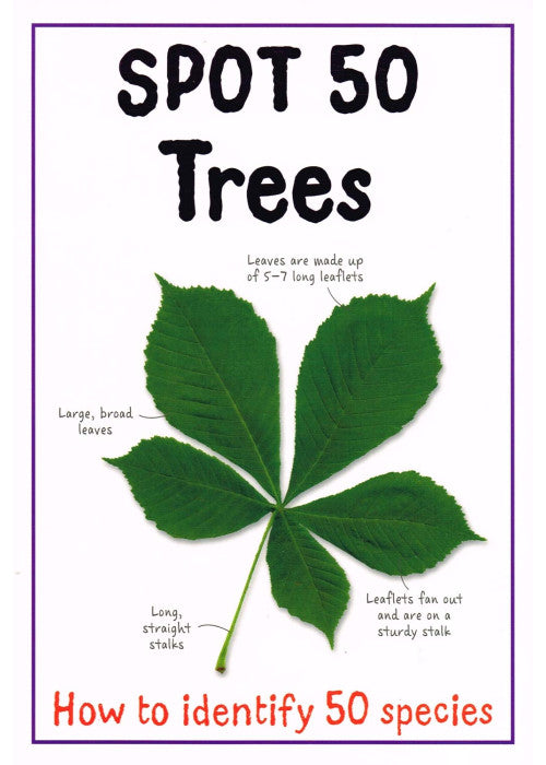 Spot 50 - Trees