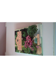 Collins Complete Book of Houseplants: A Practical Guide to Over 300 Popular Indoor Plants