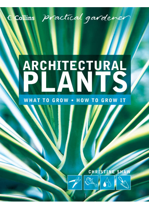 Architectural Plants: Ferns, Palms, Hostas and Yuccas (Collins Practical Gardener)