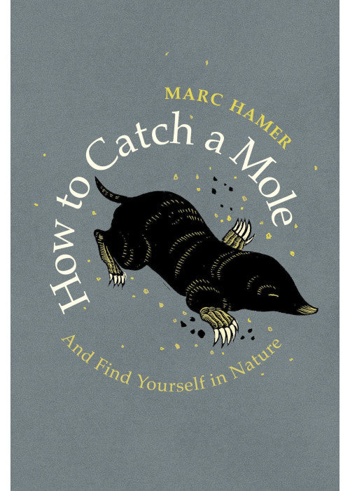 How to Catch a Mole: And Find Yourself in Nature