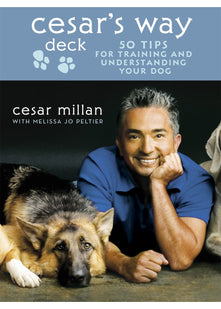 Cesar's Way Deck: 50 Tips for Training and Understanding Your Dog