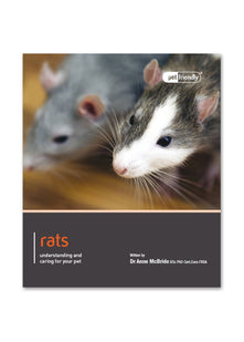 Rats - Pet Friendly: understanding and caring for your pet