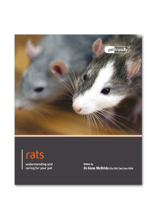 Rats - Pet Friendly: understanding and caring for your pet