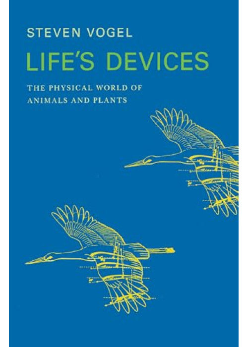 Animals Of The World: Rodents Insectivores And Marsupials