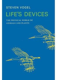 Animals Of The World: Rodents Insectivores And Marsupials