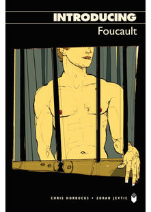 Introducing Foucault