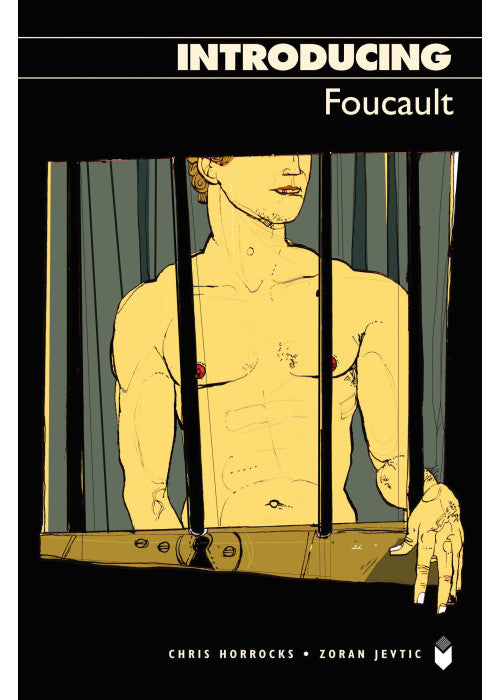 Introducing Foucault