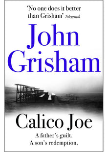 Calico Joe: The unforgettable family drama from the number 1 Sunday Times bestselling author