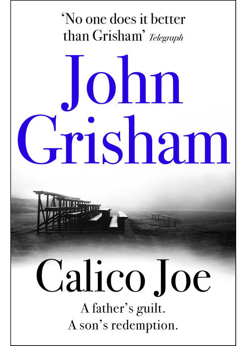 Calico Joe: The unforgettable family drama from the number 1 Sunday Times bestselling author