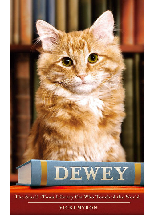Dewey: The small-town library-cat who touched the world: A Small Town, a Library and the World's Most Beloved Cat