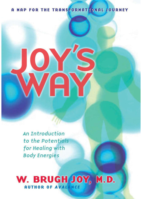 Joy'S Way: Introduction to the Potentials for Healing with Body Energies