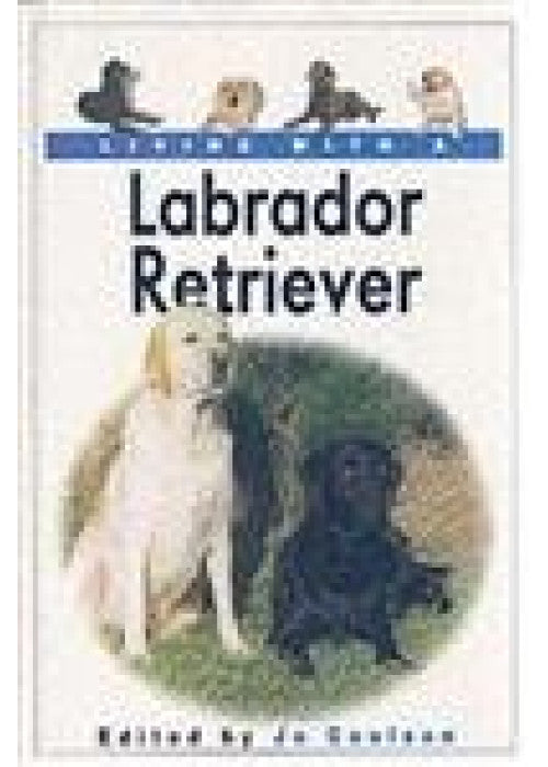 Living with a Labrador Retriever