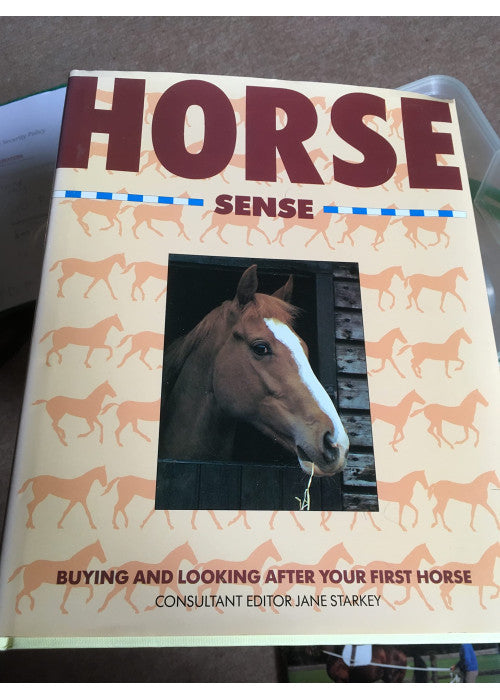 Horse Sense: Buying and Looking After Your First Horse